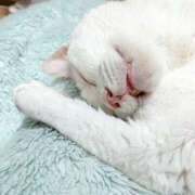 ヒメ日記 2025/06/01 17:00 投稿 辻レイナ クラブ華