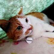 ヒメ日記 2025/06/02 17:00 投稿 辻レイナ クラブ華