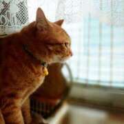 ヒメ日記 2025/06/04 17:00 投稿 辻レイナ クラブ華