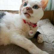 ヒメ日記 2025/06/05 17:00 投稿 辻レイナ クラブ華