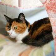 ヒメ日記 2025/06/07 17:00 投稿 辻レイナ クラブ華