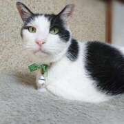 ヒメ日記 2025/06/09 17:00 投稿 辻レイナ クラブ華