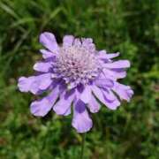 ヒメ日記 2025/06/11 18:00 投稿 辻レイナ クラブ華