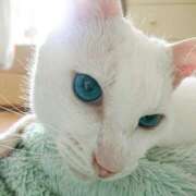 ヒメ日記 2025/06/12 17:00 投稿 辻レイナ クラブ華