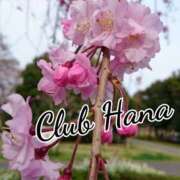 ヒメ日記 2025/06/13 18:00 投稿 辻レイナ クラブ華