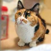 ヒメ日記 2025/06/15 17:00 投稿 辻レイナ クラブ華