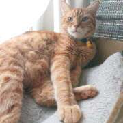 ヒメ日記 2025/06/16 17:00 投稿 辻レイナ クラブ華