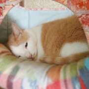 ヒメ日記 2025/06/17 17:00 投稿 辻レイナ クラブ華