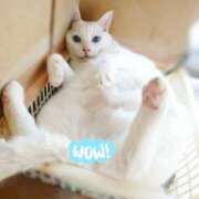 ヒメ日記 2025/06/18 17:00 投稿 辻レイナ クラブ華