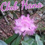 ヒメ日記 2025/06/18 18:00 投稿 辻レイナ クラブ華