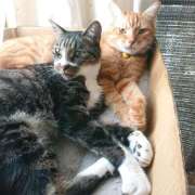 ヒメ日記 2025/06/19 17:00 投稿 辻レイナ クラブ華