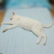 ヒメ日記 2025/06/21 17:00 投稿 辻レイナ クラブ華