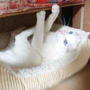 ヒメ日記 2025/06/22 17:00 投稿 辻レイナ クラブ華