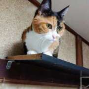 ヒメ日記 2025/06/23 17:00 投稿 辻レイナ クラブ華