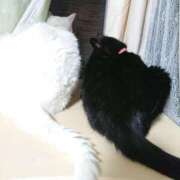 ヒメ日記 2025/06/24 17:00 投稿 辻レイナ クラブ華