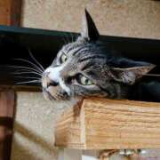 ヒメ日記 2025/06/25 17:00 投稿 辻レイナ クラブ華