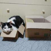 ヒメ日記 2025/06/26 17:00 投稿 辻レイナ クラブ華