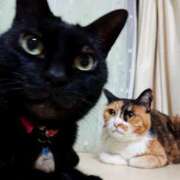 ヒメ日記 2025/06/28 17:00 投稿 辻レイナ クラブ華