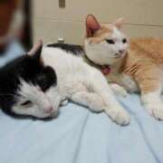 ヒメ日記 2025/06/30 17:00 投稿 辻レイナ クラブ華