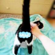 ヒメ日記 2025/07/01 17:00 投稿 辻レイナ クラブ華