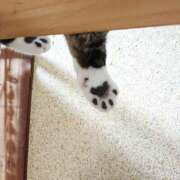 ヒメ日記 2025/07/02 17:00 投稿 辻レイナ クラブ華