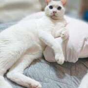 ヒメ日記 2025/07/03 17:00 投稿 辻レイナ クラブ華