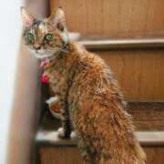 ヒメ日記 2025/07/05 17:00 投稿 辻レイナ クラブ華