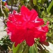 ヒメ日記 2025/07/05 18:00 投稿 辻レイナ クラブ華