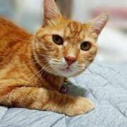 ヒメ日記 2025/07/06 18:00 投稿 辻レイナ クラブ華