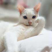 ヒメ日記 2025/07/08 17:00 投稿 辻レイナ クラブ華