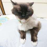 ヒメ日記 2025/07/11 17:00 投稿 辻レイナ クラブ華