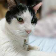 ヒメ日記 2025/07/12 17:00 投稿 辻レイナ クラブ華