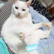 ヒメ日記 2025/07/13 17:00 投稿 辻レイナ クラブ華