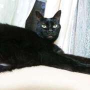 ヒメ日記 2025/07/14 17:00 投稿 辻レイナ クラブ華