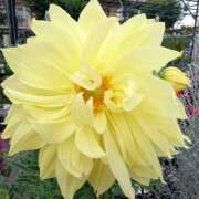 ヒメ日記 2025/07/14 18:00 投稿 辻レイナ クラブ華