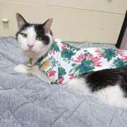 ヒメ日記 2025/07/16 17:00 投稿 辻レイナ クラブ華