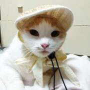 ヒメ日記 2025/07/17 17:00 投稿 辻レイナ クラブ華