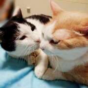 ヒメ日記 2025/07/19 17:00 投稿 辻レイナ クラブ華