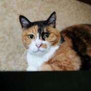 ヒメ日記 2025/07/20 17:00 投稿 辻レイナ クラブ華