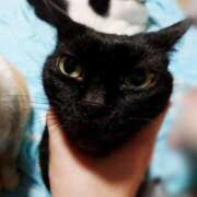 ヒメ日記 2025/07/21 17:00 投稿 辻レイナ クラブ華