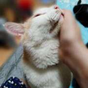 ヒメ日記 2025/07/24 17:00 投稿 辻レイナ クラブ華