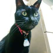 ヒメ日記 2025/07/25 17:00 投稿 辻レイナ クラブ華