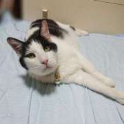 ヒメ日記 2025/07/26 17:00 投稿 辻レイナ クラブ華