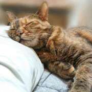 ヒメ日記 2025/07/29 17:00 投稿 辻レイナ クラブ華