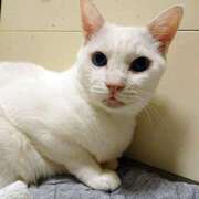 ヒメ日記 2025/07/30 17:00 投稿 辻レイナ クラブ華