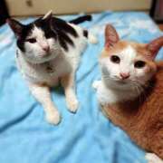 ヒメ日記 2025/08/01 17:00 投稿 辻レイナ クラブ華