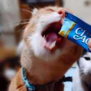 ヒメ日記 2025/08/02 17:00 投稿 辻レイナ クラブ華