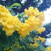 ヒメ日記 2025/08/03 18:00 投稿 辻レイナ クラブ華