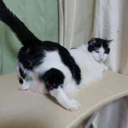 ヒメ日記 2025/08/04 17:00 投稿 辻レイナ クラブ華