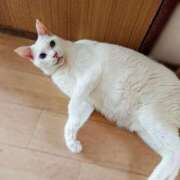 ヒメ日記 2025/08/05 17:00 投稿 辻レイナ クラブ華